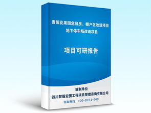 貴陽項(xiàng)目可行性研究代寫 智服宏圖